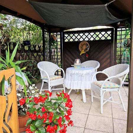 Ahlbeck, Ferienobjekt Apfel-Blume-Veilchen Apartment Херингсдорф Екстериор снимка